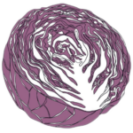 logo del projecte (una col morada oberta per la meitat)