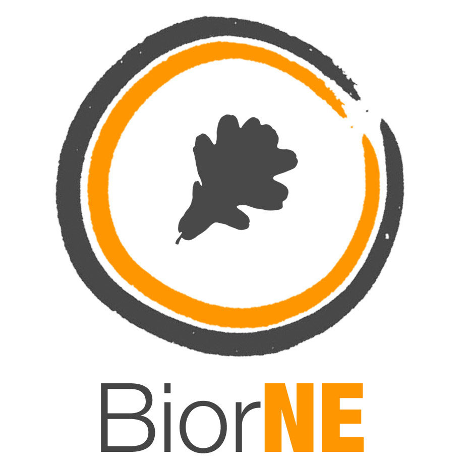 BiorNE