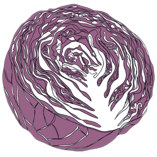 logo del projecte (una col morada oberta per la meitat)