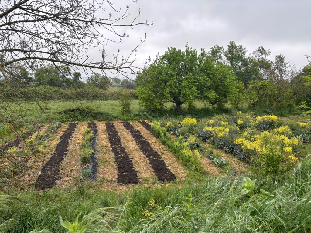 hort ben ordenat